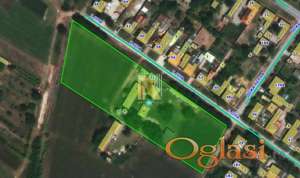 Salaš u Bečeju sa građevinskom parcelom od 8.000m2