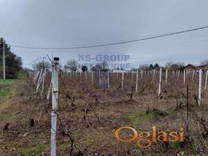 - 980m2, Građevinski plac u Petrovaradinu -