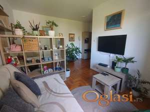 Komotna telepska garsonjera