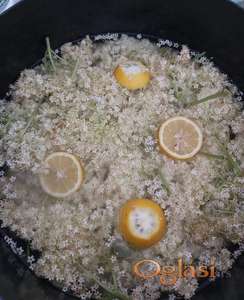 Sirup od zove