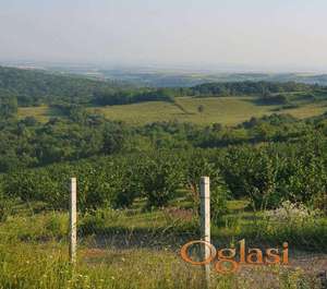 Lepo pozicioniran poljoprivredni plac!