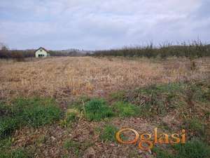 Kosmaj - građevinski plac - Rogača ID#5365