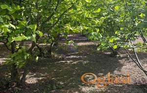 Plac u Velikim Radincima