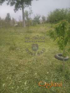 Predivan plac na izlazu iz Sremskih Karlovaca