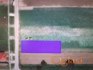 BEGEČ - BEGEČ - 778.00 m2