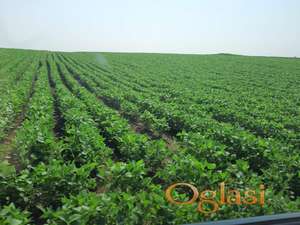 NA PRODJU VIŠENAMENSKA PARCELA