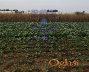 Odličan plac u Futogu 5438m2