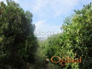 Palilula, Višnjica, , 14a