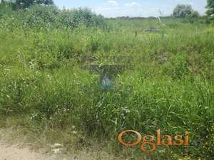 Plac 2000m2 Lipov gaj