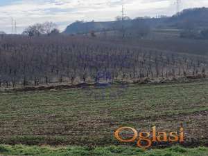 Poljoprivredno zemljište u Sremskim Karlovcima!