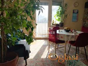 Porodični duplex na dve etaže – 117 m², Cvijićeva, Palilula ID#138063