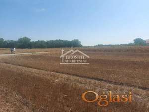 Zemun - Batajnica - 160ari ID#24467