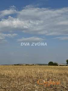 PLAC NA BELOM VRHU – BANSTOL, ČORTANOVCI!