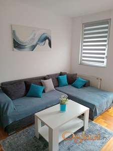 Dvosoban namešten stan V.Karađžć-41m2-480e