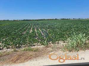 Prostran plac na Klisi