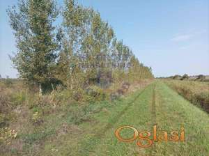 Belo Blato, Zrenjanin, Kod Carske bare