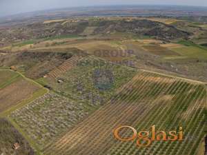 Za biznis i uživanje, plac pod voćem, u Sremskim Karlovcima.