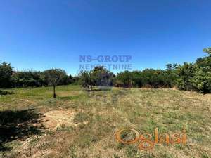 ~ Građevinski plac u Futogu ~