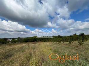 Smederevo - Udovički prokop - 12,32ara ID#24570