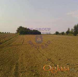 Plac u Futogu 5068m2