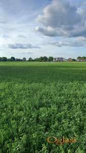 Plac u blizini centra Ceneja