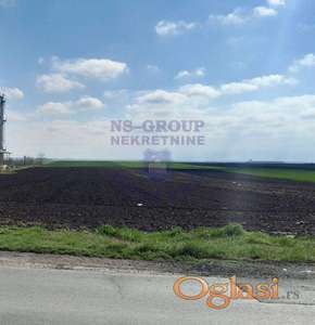 U ponudi građevinski plac od 5741m2 na izlazu iz Čuruga