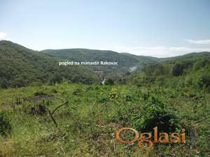 Prodajem plac pod šumom u Rakovcu