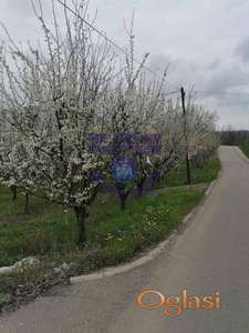 Odličan plac u Vrdniku -1003m2