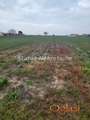 Futog-Pogodan Građevinski plac 688 m2 u Novom Futogu-065/385 8880