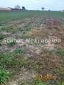 Futog-Pogodan Građevinski plac 688 m2 u Novom Futogu-065/385 8880