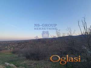 Plac u Sremskoj Kamenici, Bocke