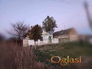 Tudor Vladimiresku Uzdin ID#43737