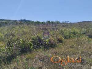 Beočin plac 7205m2 .