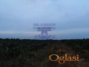 Odličan građevinski plac na međunarodnom putu -15340m2