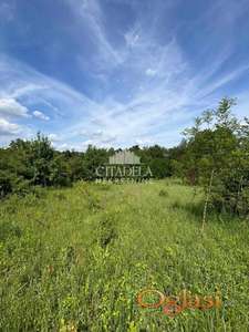 Šiljakovac - Oglavak ID#2357