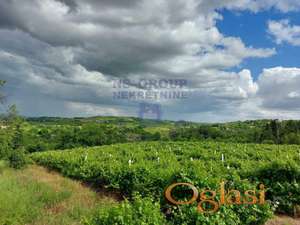 Plac u Petrovaradinu,8266m2