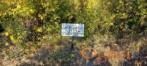 NA PRODAJU VELIKI PLAC NA POPOVICI - ZA VIKENDICU