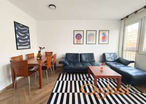 Dvosoban stan na Bulevaru Oslobođenja, 500Eur, 55m2