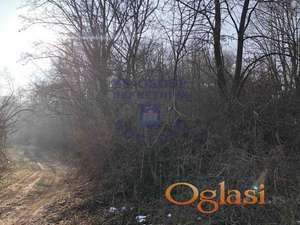 Predstavljamo vam redak plac u Beočinu