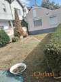 Zemun - Prvomajska - 2.5 ID#23809