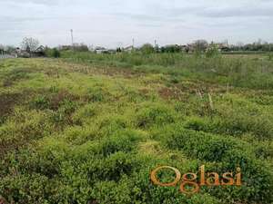 ~ Plac u Veterniku ~