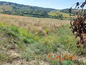 Odličan plac u Čereviću, 3481m2!