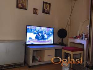1.0 Rakovica pet friendly