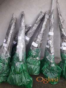 Vocne sdnice od proizvodjaca