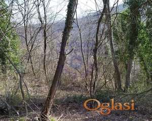 Na prodaju šumsko zemljište - šuma 3. klase.
