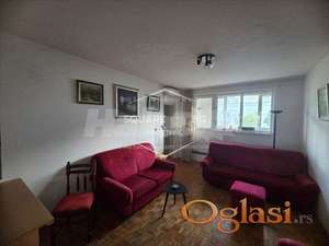Saobraćajni fakultet, 3.0 namešten, pet friendly ID#6167