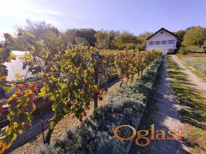 Plac 4351m2 -Sremska Kamenica