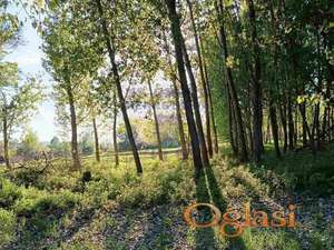 Plac u Novim Ledincima