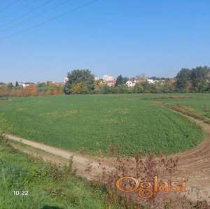 Plac od 46 ari u Kraljevu, KO RIbnica k.p 58/1