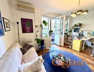 Tašmajdan-Pet friendly- 2.5 ID#3217